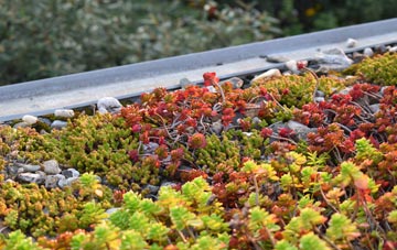 the cost of Sgarasta Mhor green roof installation