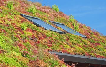 Sgarasta Mhor living roof systems